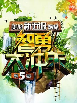 智勇大冲关 第五季 海报