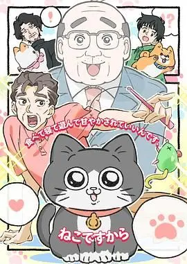 爆笑治愈！《转生成猫的大叔》：当油腻大叔变成萌猫，会发生什么？
